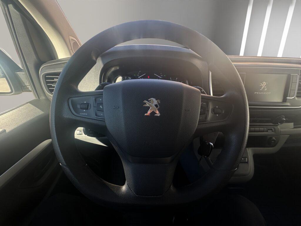 VF3VFAHK8M7844755_10_converted